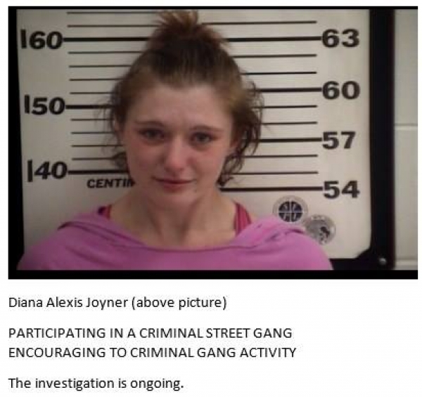 45059f76fd6ab4421509388246