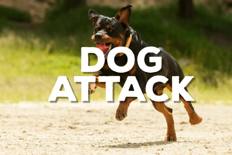 Dogs kill two-year-old at alleged unlicensed daycare in Valdosta, operator charged with 2nd degree murder Dog Attack