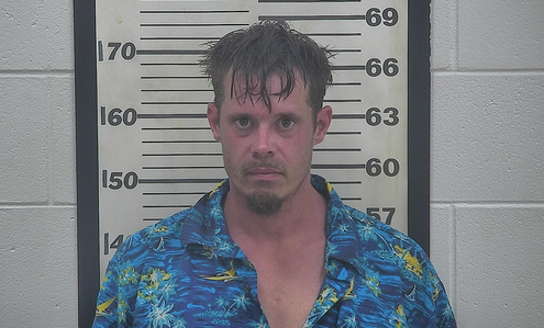 Alleged domestic dispute over unpaid light bill lands 36-year-old in jail