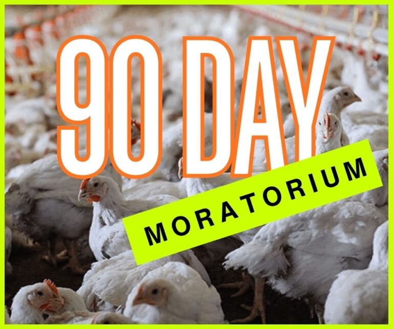 County commission meeting: Commercial poultry farm opponents ask for 90-day moratorium on new chicken house construction