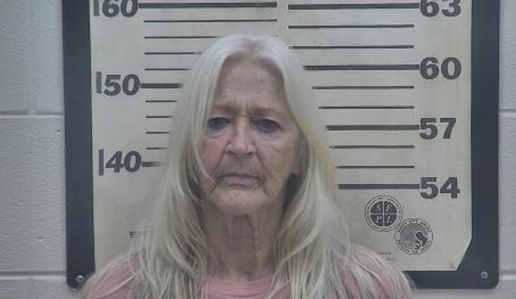 After over a year on the lam, a deputy apprehended a 68-year-old who allegedly stole from her sister while she was hospitalized