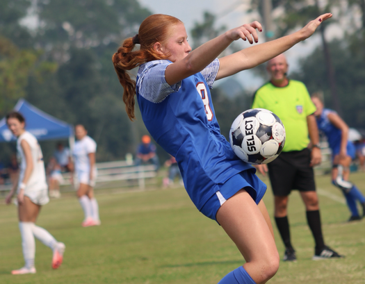 Hawks remain undefeated in GCAA play with 8-0 win over Highlanders